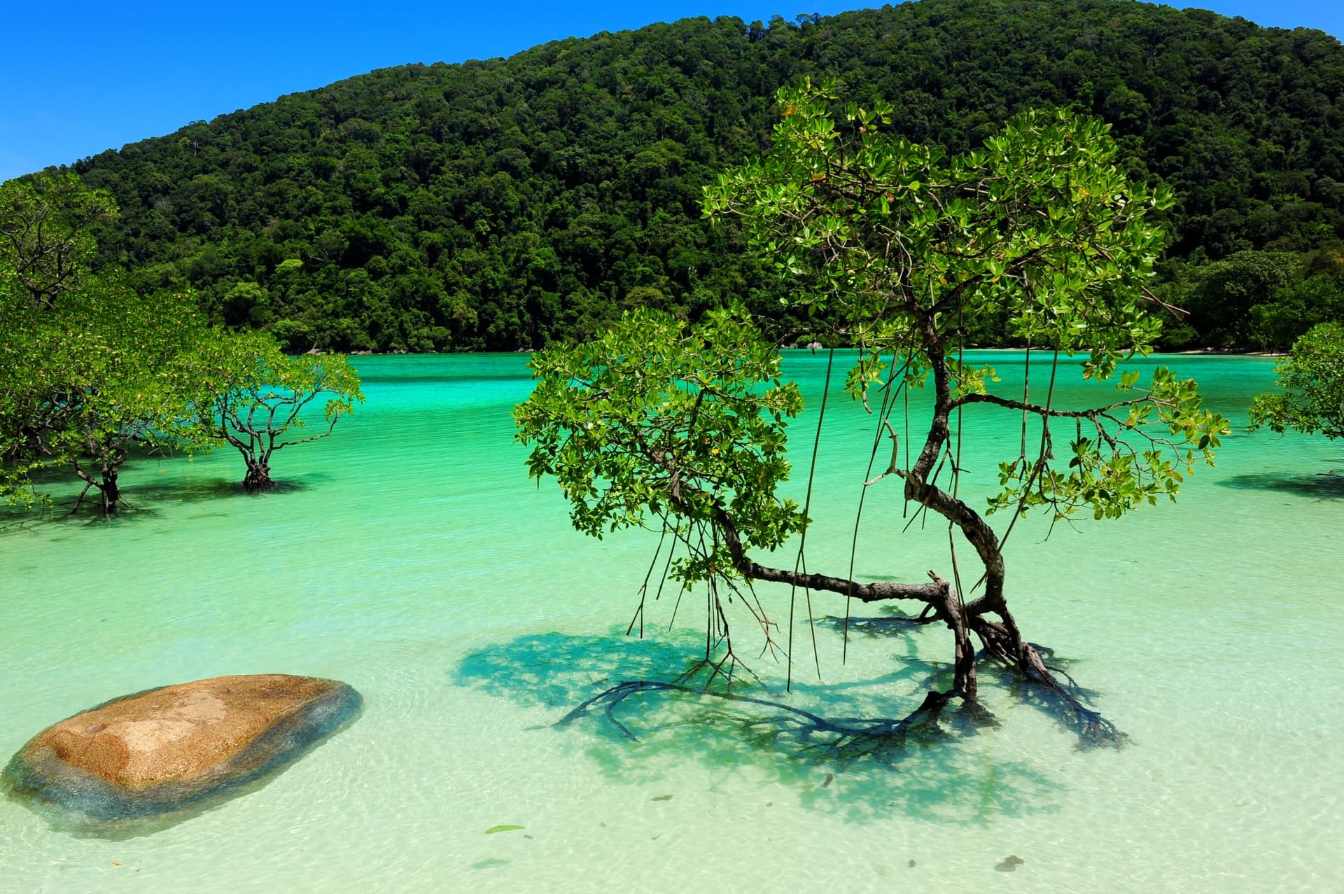 Surin Islands