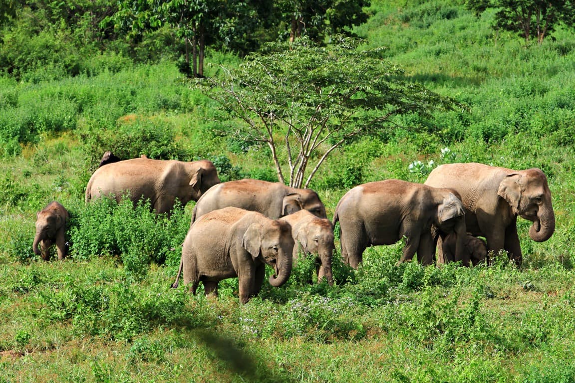 Kui Buri National Park
