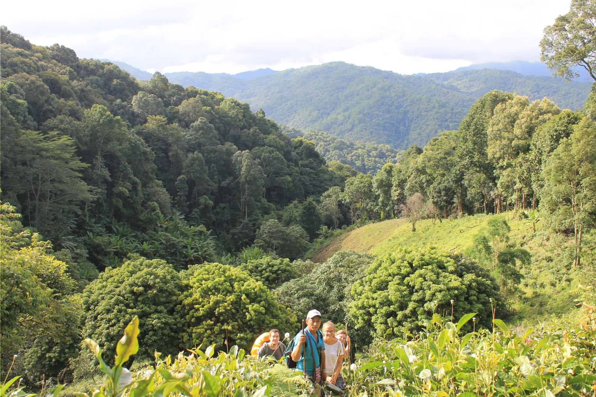 Trek in the Hills of the Mountain Tribe at Doi Inthanon