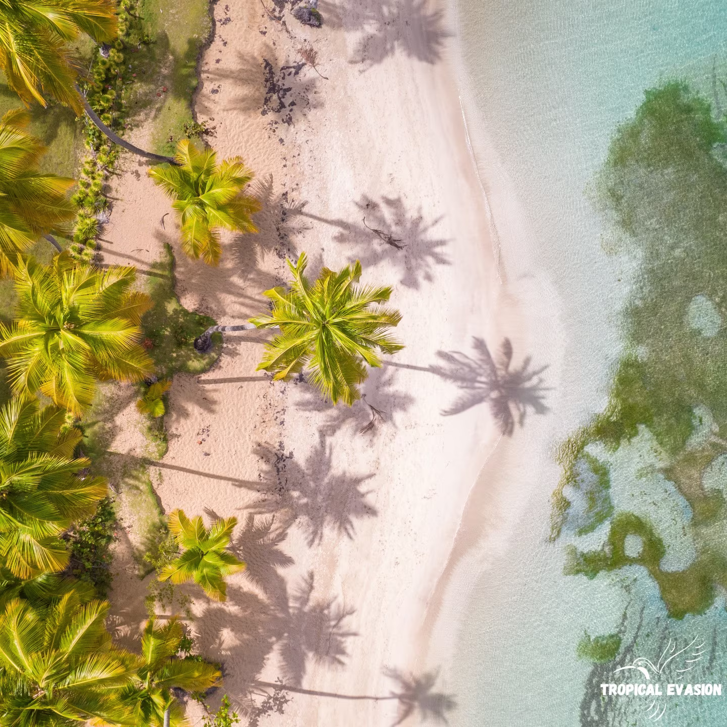 Bayahibe at a Gentle Pace: 8 Days Between Sea, Nature & Local Culture